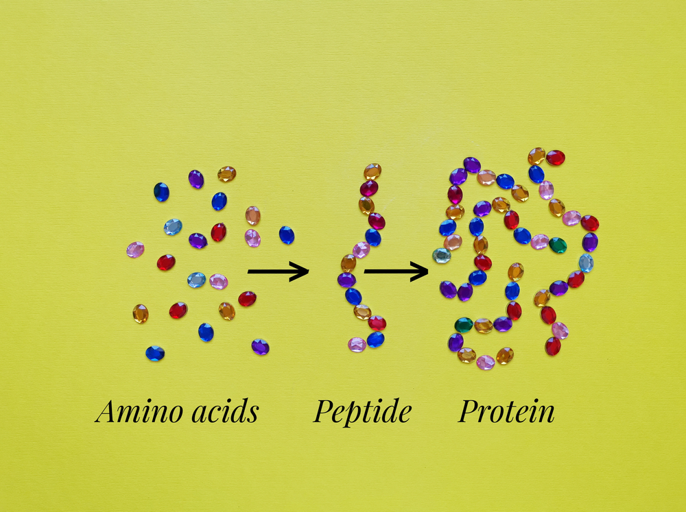 Understanding Peptide Therapy​